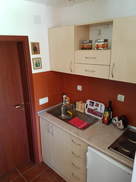 Apartment Matija ズラティボール エクステリア 写真
