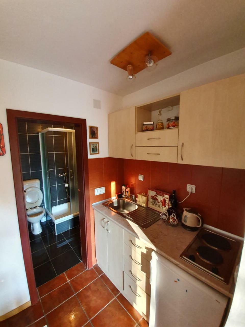 Apartment Matija ズラティボール エクステリア 写真